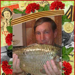 ���� ����� 