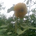 ���� ����, ��������, 49 ��� - ��������� 4 ���� 2011 � ������ �RoadKing�