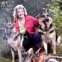 ���� �����, ������ - ��������� 12 ���� 2013