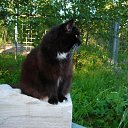 ���� ����, ������, 45 ��� - ��������� 20 ������� 2009 � ������ ����������!�