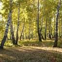 ���� Nadia, ����� - ��������� 1 ������� 2013 � ������ ������ 13�