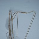 �������� �� ������� �������� �������