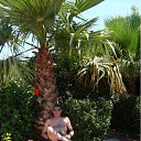 ���� �������, �����-��������� - ��������� 20 ������� 2011 � ������ ���� ����������