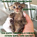 ���� �����, �����������, 58 ��� - ��������� 13 ����� 2013