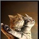 ���� ������, ������, 49 ��� - ��������� 14 ����� 2013 � ������ ���� ����������