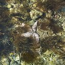 ������ �������� �� ������� ���� ����������