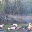 ���� ����, �������, 37 ��� - ��������� 27 ����� 2012