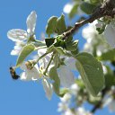 ���� ������, ����, 45 ��� - ��������� 20 ����� 2011