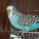 ���� �������, ��������, 37 ��� - ��������� 2 ������ 2009 � ������ ����������