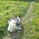 ������� ����� �� ������ ���������� �� ������� ����λ