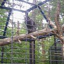 ���� Anna, �������, 45 ��� - ��������� 5 ������� 2011 � ������ ��������