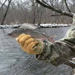 ���� �����, ���������, 40 ��� - ��������� 8 ������ 2010