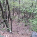���� ������, ��������������, 44 ���� - ��������� 17 ��� 2012 � ������ �������