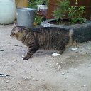 ���� Larisa, �������, 61 ��� - ��������� 13 ���� 2013 � ������ ����� ��� ������������