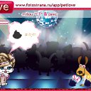 ���� ��������(�������), �����, 31 ��� - ��������� 4 ������� 2011 � ������ �PetLove�