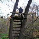 ���� �����, �������, 44 ���� - ��������� 27 ������� 2009 � ������ �������