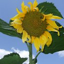 ���� �����, ���, 62 ���� - ��������� 1 ������ 2011 � ������ ���� ����������