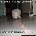���� ����, ������, 36 ��� - ��������� 26 ������ 2010 � ������ ������ � ������������