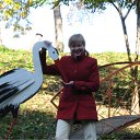 ���� �������, ������������, 43 ���� - ��������� 6 ������� 2010