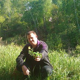 ���� ��������, �������, 52 ���� - ��������� 2 ������� 2012