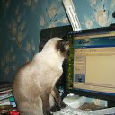 ���� �����, ������ - ��������� 8 ��� 2012 � ������ ���� ����������