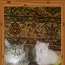   , , 35  -  26  2010    !!!