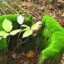 ���� ���, ����� - ��������� 18 �������� 2011 � ������ ��������� ������������