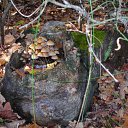 ���� �����, �������, 44 ���� - ��������� 27 ������� 2009 � ������ �������