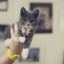 ���� Teyua, ����, 29 ��� - ��������� 5 ������ 2013 � ������ ���� ����������