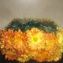 ���� �������, ������-��-����, 34 ���� - ��������� 21 ������ 2013 � ������ ���� ����Ȼ