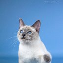 ���� Len7315, ����, 43 ���� - ��������� 16 ����� 2010 � ������ ������ �����