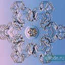 ���� �������, ������, 41 ��� - ��������� 9 ������� 2009 � ������ ���������