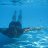 ���� ������, �����-���������, 72 ���� - ��������� 24 ���� 2012