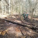 ���� �������, ������, 41 ��� - ��������� 22 �������� 2011 � ������ ���� ����������