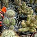 ���� ������, ������, 69 ��� - ��������� 5 ������ 2013 � ������ ���� ��������� ����������