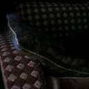 ���� ������, ����������, 45 ��� - ��������� 8 ����� 2012 � ������ ���� ������