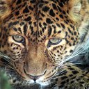 ���� �������, ���������, 40 ��� - ��������� 26 ������� 2011 � ������ ���� ����������