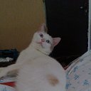 ���� ���������, ������ �������� - ��������� 26 ���� 2013 � ������ ������)))�