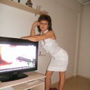 ���� ����, ����������, 43 ���� - ��������� 29 ��� 2013