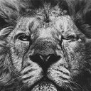���� �������, ������, 35 ��� - ��������� 9 ������� 2013 � ������ ������ ��������