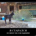 ���� �����, ���������, 51 ��� - ��������� 30 ���� 2011 � ������ �������