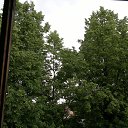 �� ������� �� ������� ���� ����������