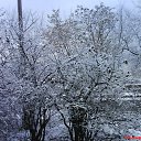 ���� ������, �������� - ��������� 14 ������ 2012 � ������ ����� � ���������