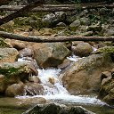 ���� ���������, �������������, 37 ��� - ��������� 17 �������� 2011 � ������ ���� ����������