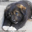 ������ �� ������� �������