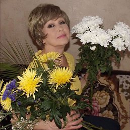 ����������, �����������, 79 ���