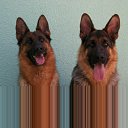  ,  -  18  2012      Ȼ