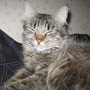 ���� ������, ����, 53 ���� - ��������� 5 ������ 2010 � ������ �������