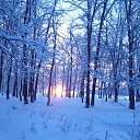 ���� �����, ������, 41 ��� - ��������� 30 ������ 2013 � ������ ����������