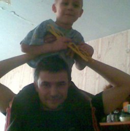 �����, �����������, 43 ����